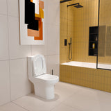 close-coupled-toilet-062-03.jpg