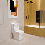 close-coupled-toilet-042-03.jpg