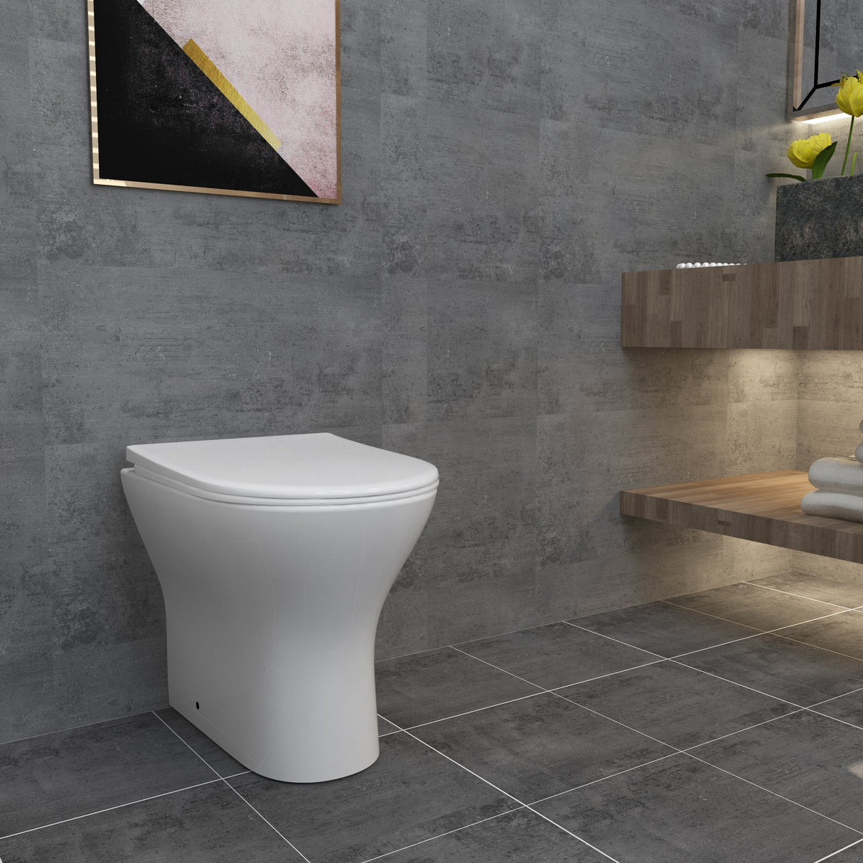 Modern Splash-back-to-wall-toilet061.jpg