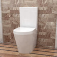 Modern Splash toilet 372.jpg