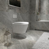 Modern Splash-wall-hung-toilet375.jpg