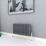 300x605 Horizontal, Traditional, Anthracite radiators, triple column, Modern Splash rads